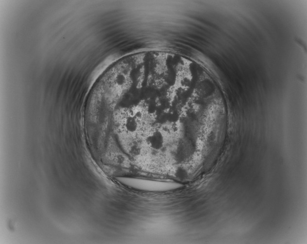 X0000100390907200806271354