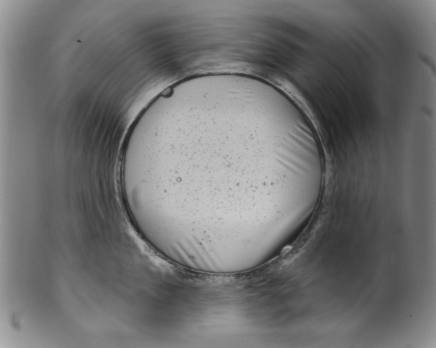 X0000100390909200806271354