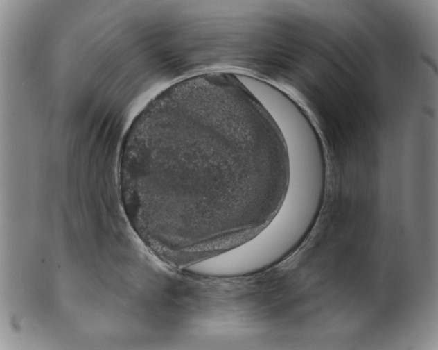 X0000100390910200806271354