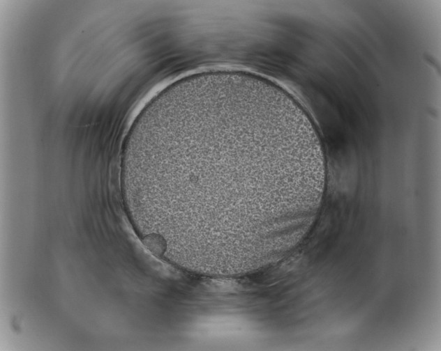 X0000100390911200806271354