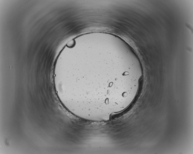 X0000100390912200806271354