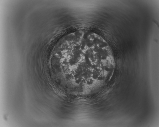 X0000100390913200806271353