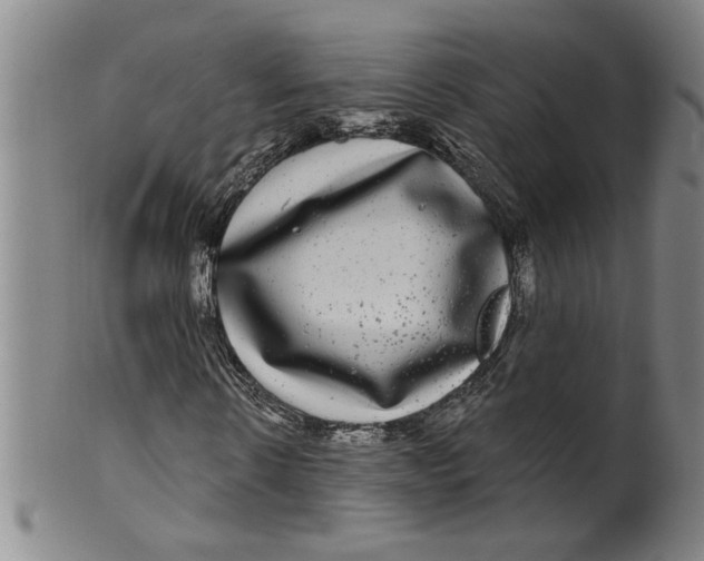 X0000100390914200806271353