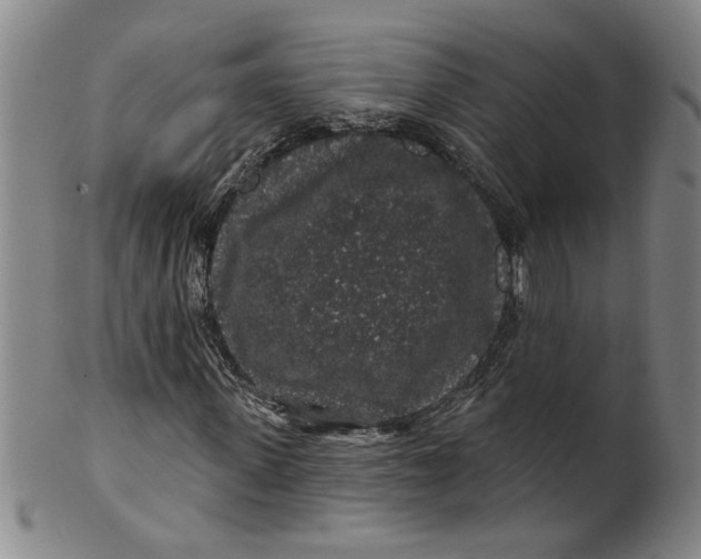 X0000100390915200806271353