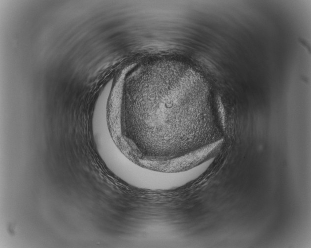 X0000100390917200806271354