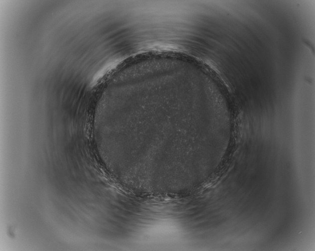 X0000100390919200806271354