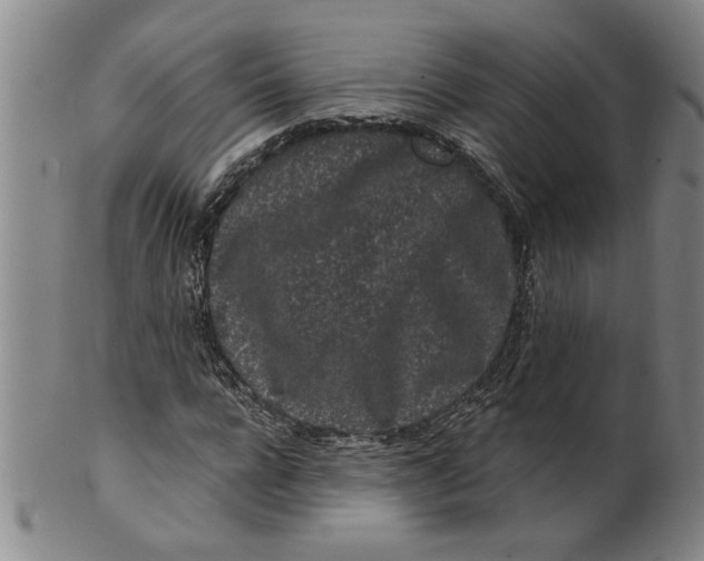 X0000100390920200806271354