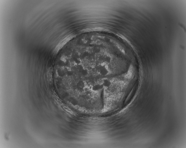 X0000100390921200806271354