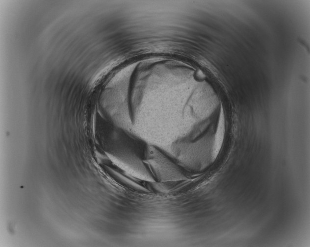 X0000100390922200806271354