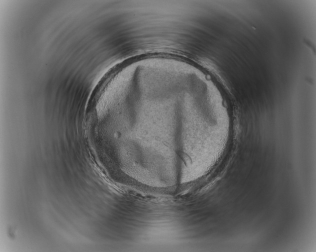 X0000100390924200806271354