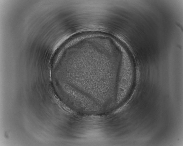 X0000100390925200806271354