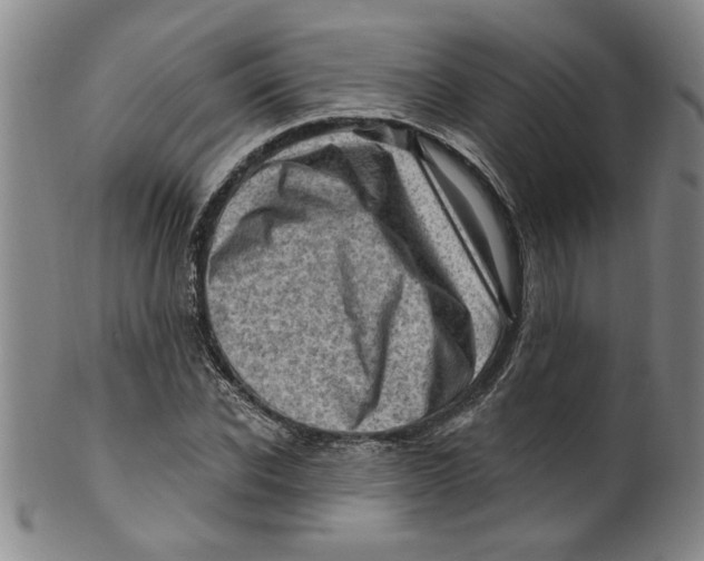 X0000100390926200806271354