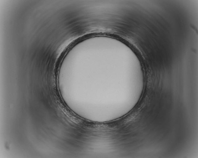 X0000100390927200806271354