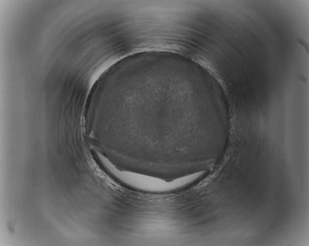 X0000100390928200806271354