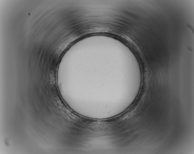 X0000100390929200806271354