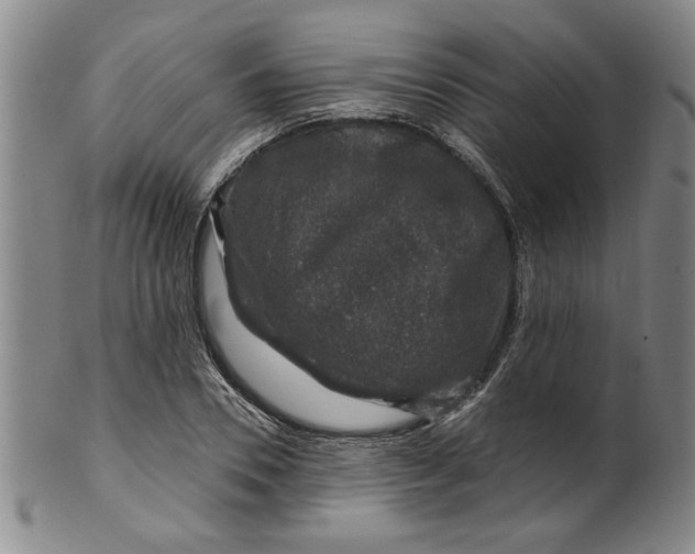 X0000100390930200806271354