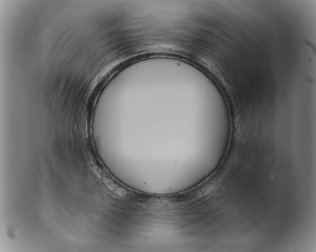 X0000100390931200806271354