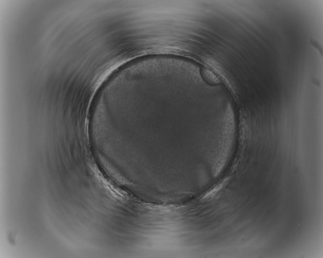 X0000100390932200806271354