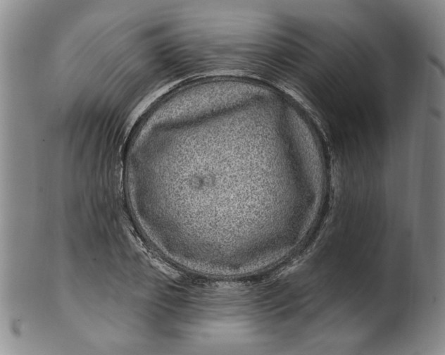 X0000100390933200806271354