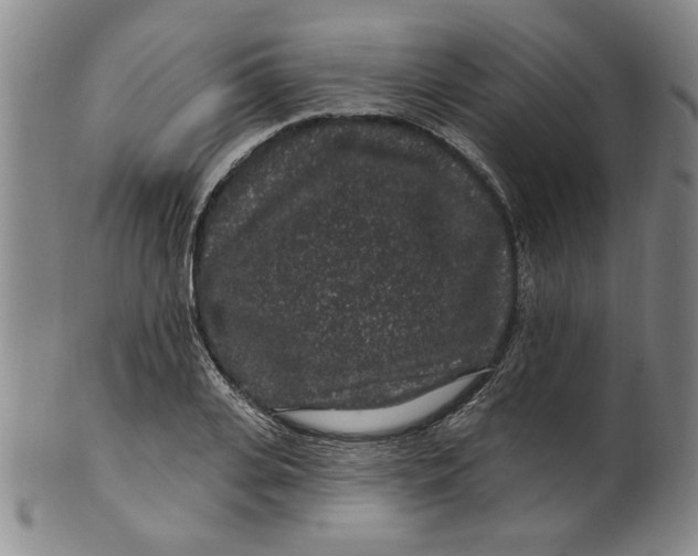 X0000100390935200806271354