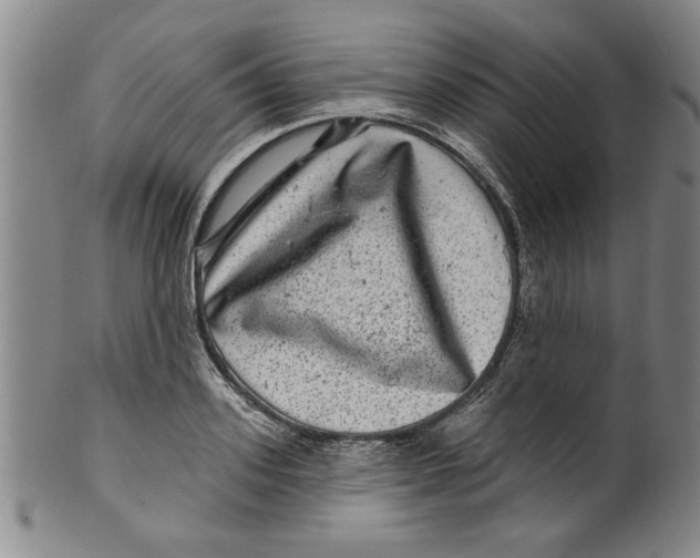 X0000100390939200806271354