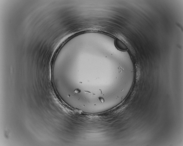 X0000100390940200806271354