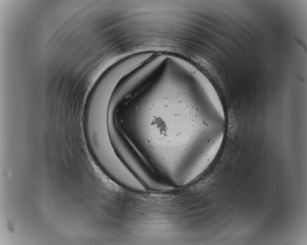 X0000100390942200806271354