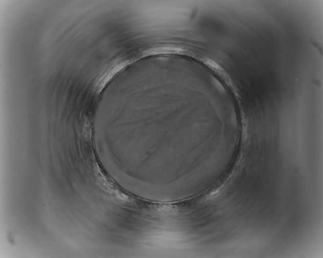 X0000100390945200806271354