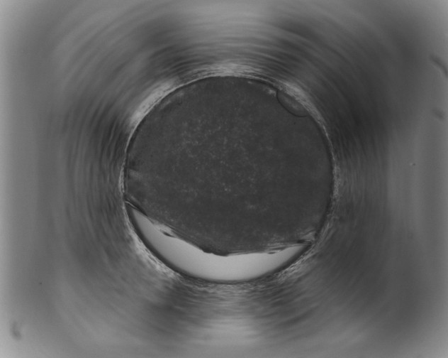 X0000100390946200806271354