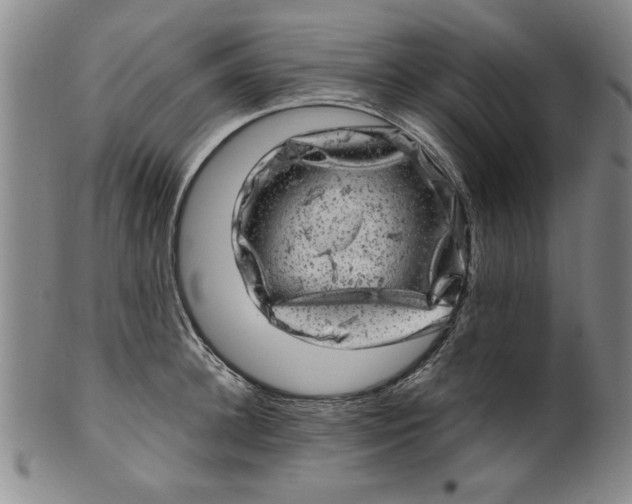 X0000100390948200806271354