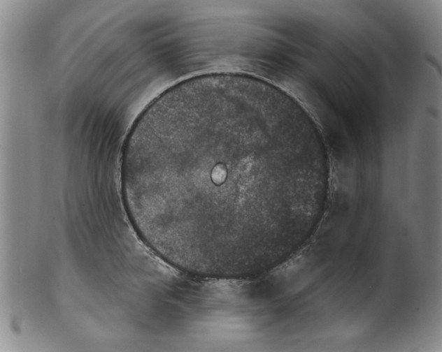 X0000100390950200806271354