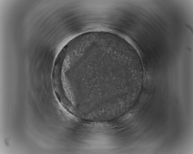 X0000100390951200806271354