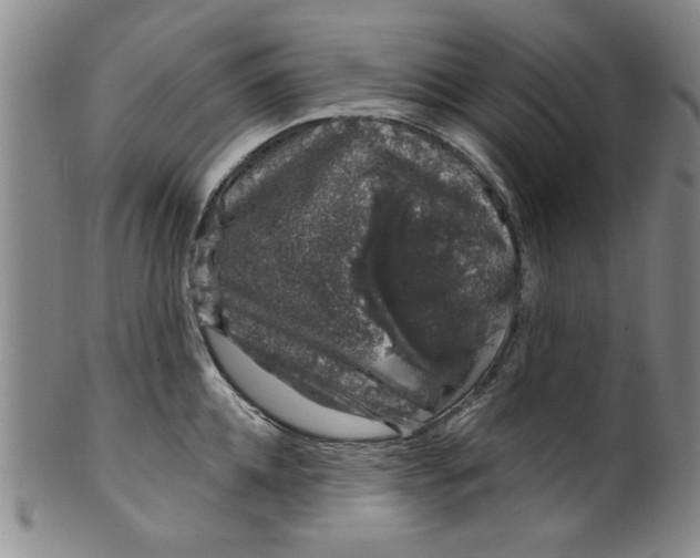 X0000100390952200806271354