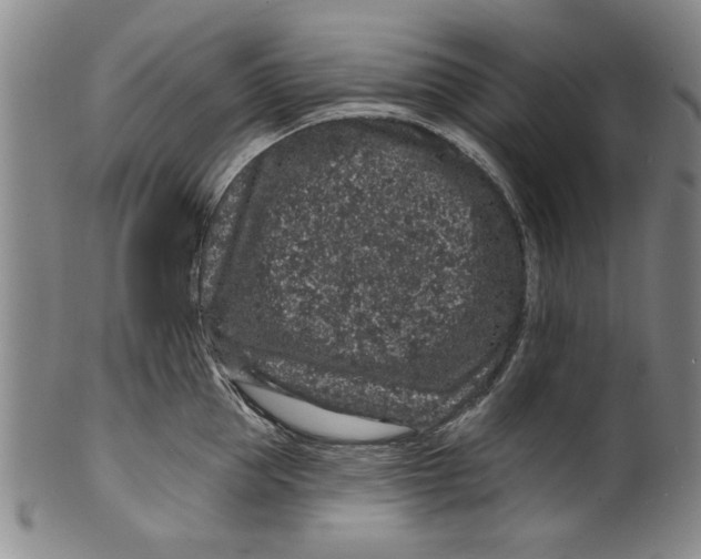 X0000100390953200806271354