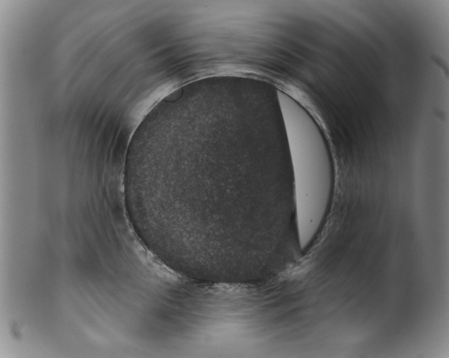 X0000100390954200806271354