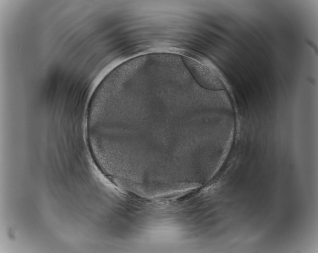 X0000100390955200806271354