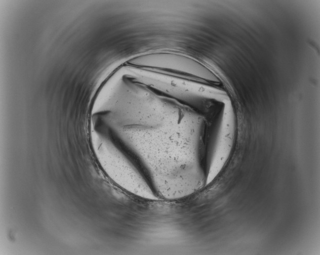 X0000100390956200806271354