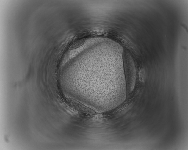 X0000100390961200806271353