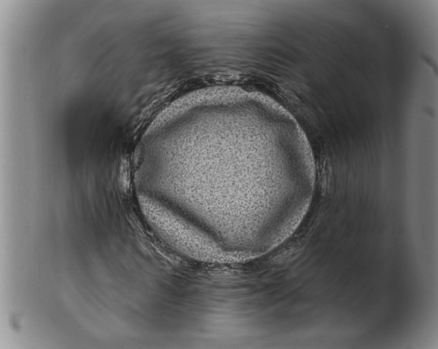 X0000100390962200806271353