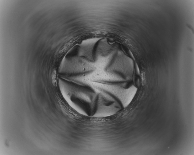 X0000100390963200806271353