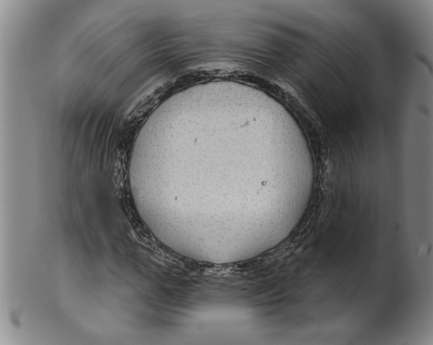 X0000100390967200806271353