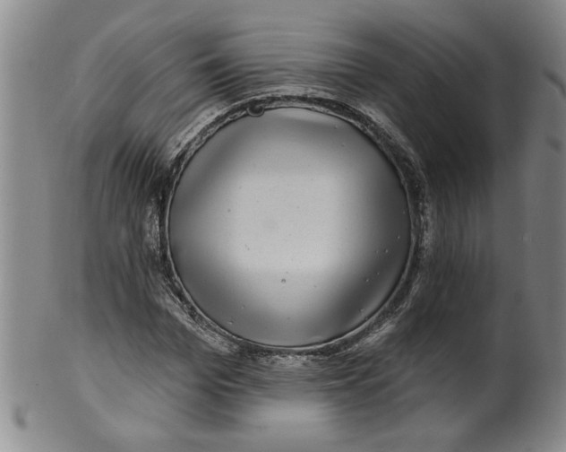 X0000100390969200806271353