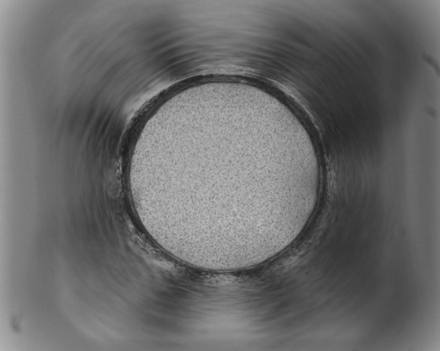 X0000100390971200806271353