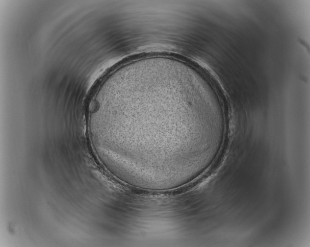 X0000100390973200806271353