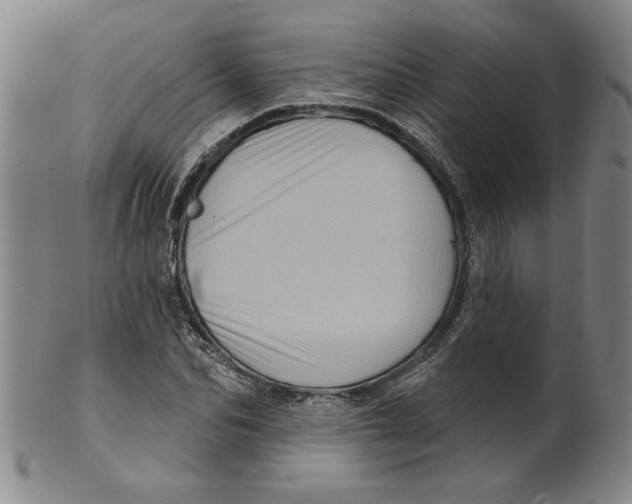 X0000100390974200806271353