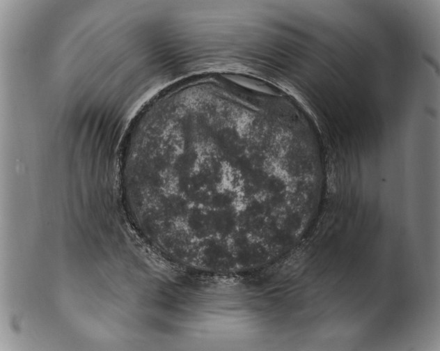 X0000100390975200806271353