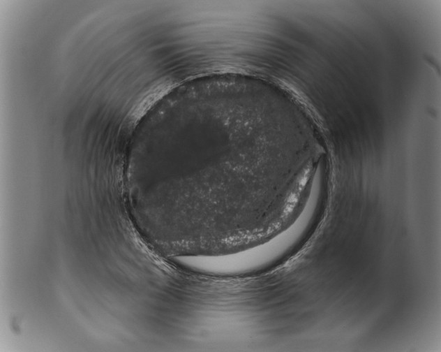 X0000100390977200806271353