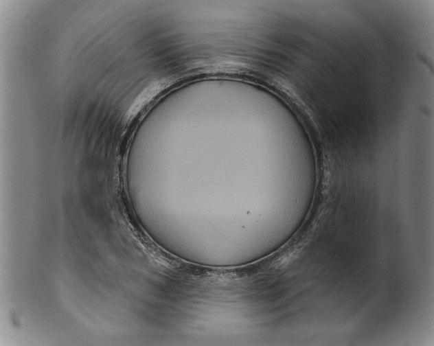 X0000100390978200806271353