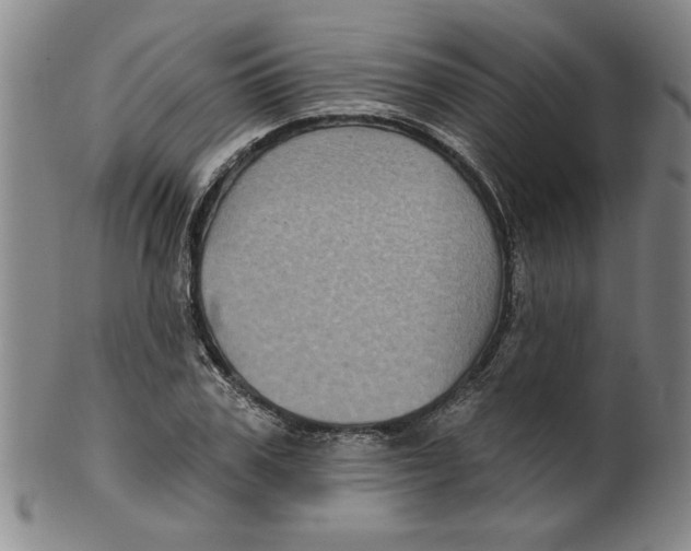 X0000100390979200806271353