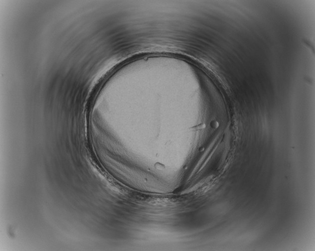 X0000100390982200806271353